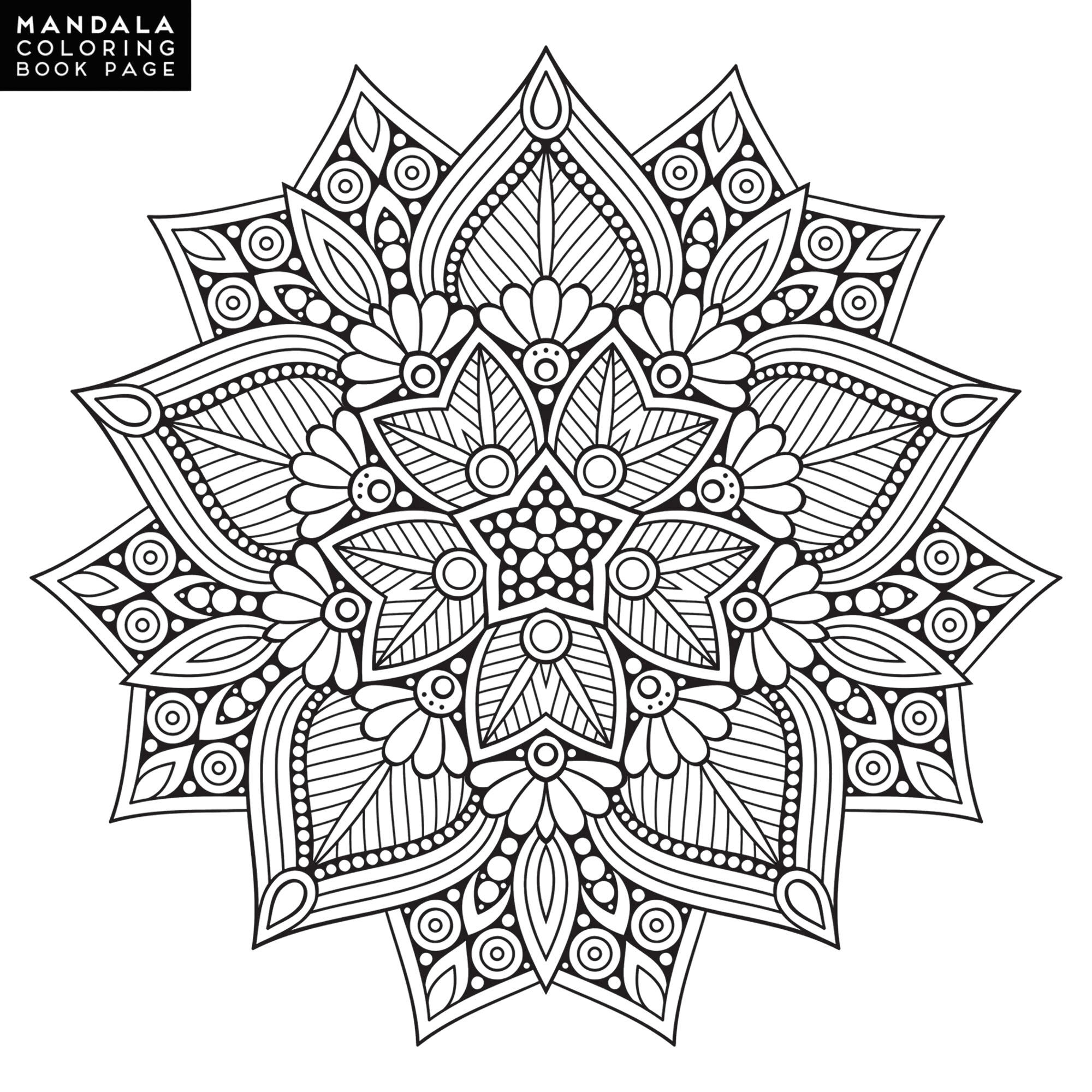 outline-mandala-coloring-book-decorative-round-ornament-anti-stress-therapy-pattern-weave-design-element-yoga-logo-background-meditation-poster-unusual-flower-shape-oriental-vector